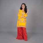 Sunshine Yellow & Crimson Red Embroidered  Suit