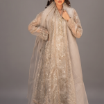 Luxe Embroidered Anarkali with Organza Dupatta