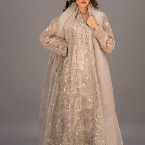 Luxe Embroidered Anarkali with Organza Dupatta