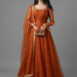 Rust Orange Minimalist Organza Anarkali Set with Gold Border