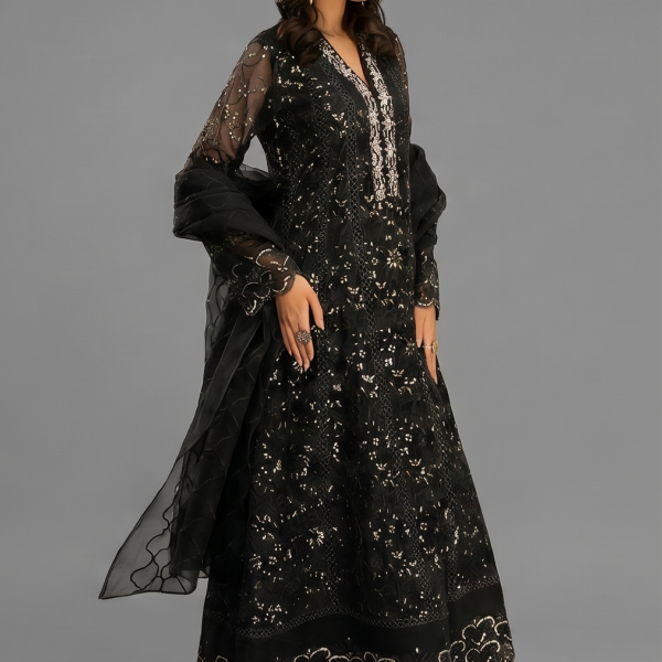 Black Minimalist Embroidered Organza Co-ord Set