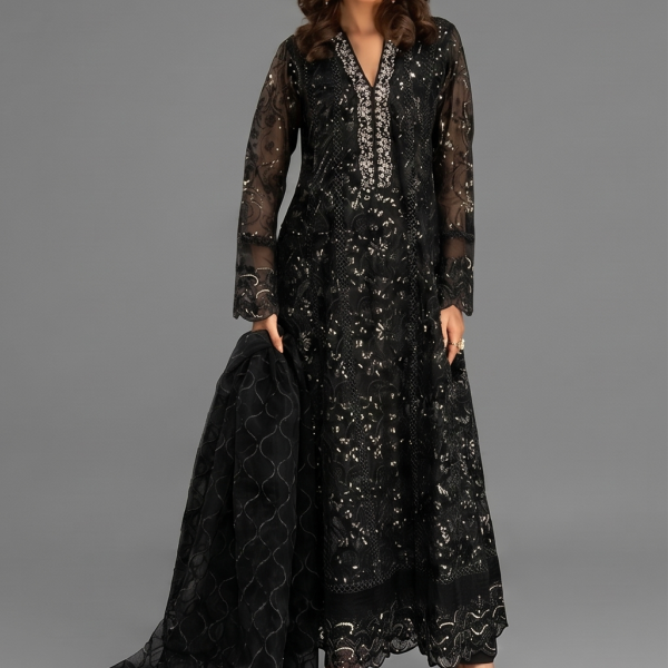 Black Minimalist Embroidered Organza Co-ord Set
