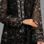 Black Minimalist Embroidered Organza Co-ord Set