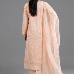 Peach Minimalist Embroidered Organza Co-ord Set