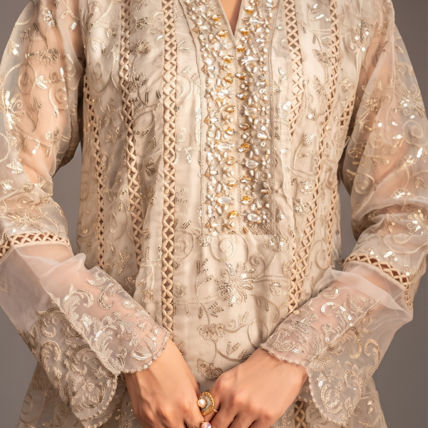 Luxe Embroidered Anarkali with Organza Dupatta