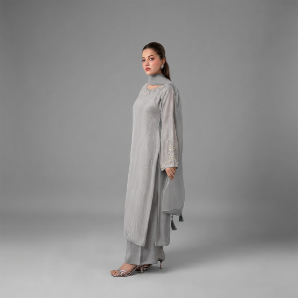 Ethereal Silver-Grey Embellished Ensemble
