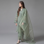 Elegant Olive Green Organza Ensemble
