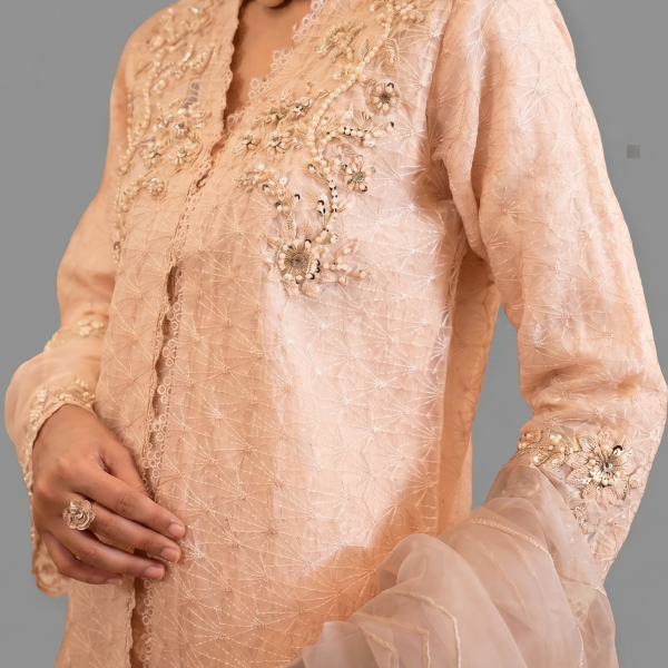 Peach Organza Luxe 3-piece festive