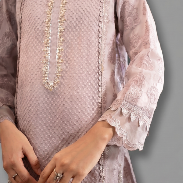 Premium Textured Blend & Organza 3-piece festive