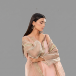 Pastel Luminescence Sheer Organza Co-ord Set with Gota Trims.