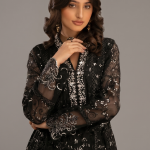 Black Minimalist Embroidered Organza Co-ord Set