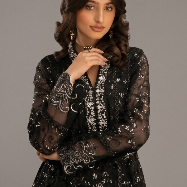 Black Minimalist Embroidered Organza Co-ord Set