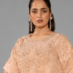 Peach Minimalist Embroidered Organza Co-ord Set