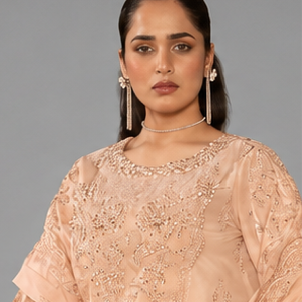 Peach Minimalist Embroidered Organza Co-ord Set