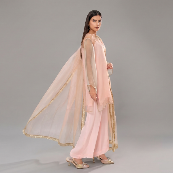 Pastel Luminescence Sheer Organza Co-ord Set with Gota Trims.