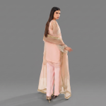 Pastel Luminescence Sheer Organza Co-ord Set with Gota Trims.