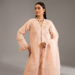 Peach Organza Luxe 3-piece festive