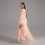 Peach Organza Luxe 3-piece festive