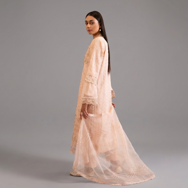 Peach Organza Luxe 3-piece festive