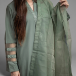 Elegant Olive Green Organza Ensemble