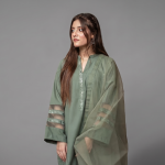 Elegant Olive Green Organza Ensemble