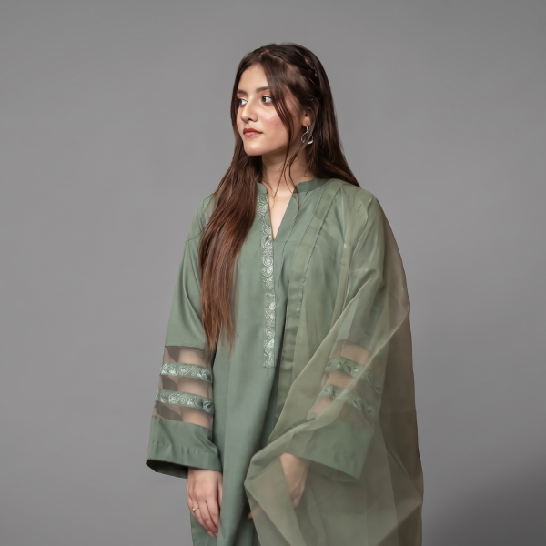 Elegant Olive Green Organza Ensemble