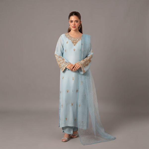 Powder Blue Celestial Embroidered Suit