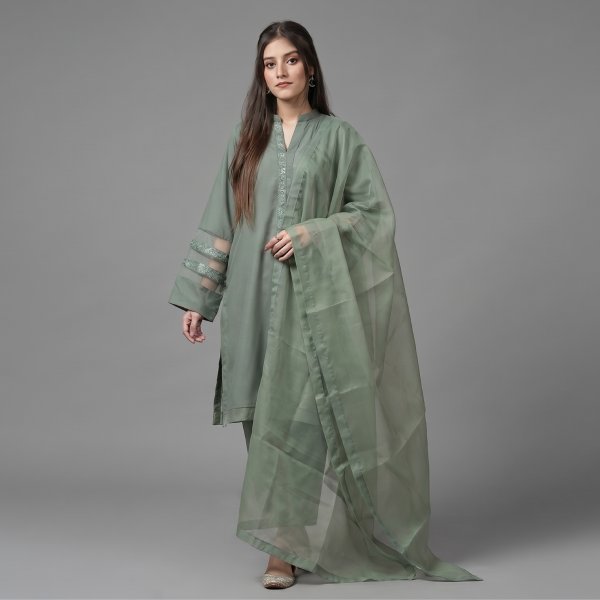 Elegant Olive Green Organza Ensemble