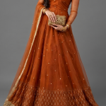 Rust Orange Minimalist Organza Anarkali Set with Gold Border