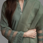 Elegant Olive Green Organza Ensemble