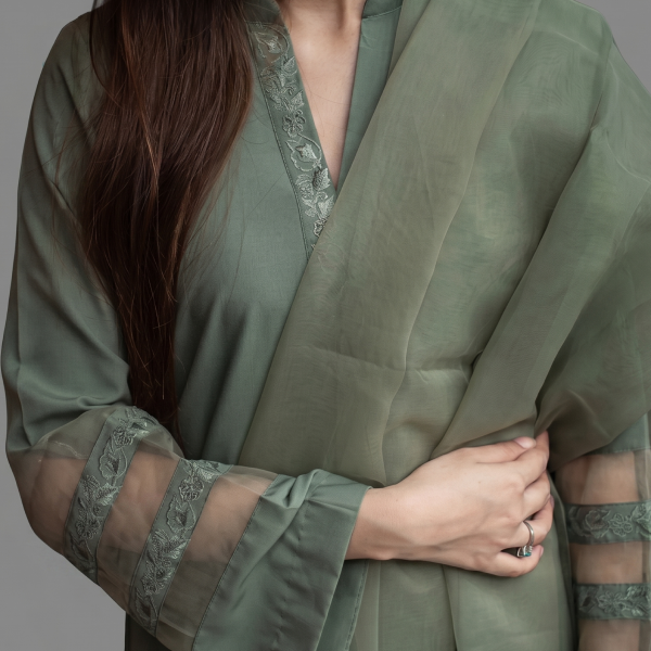 Elegant Olive Green Organza Ensemble