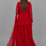 Crimson Red Minimalist Chiffon Co-ord Set with Pleated Gharara