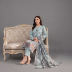 Aqua Blue Printed and Embroidered Suit