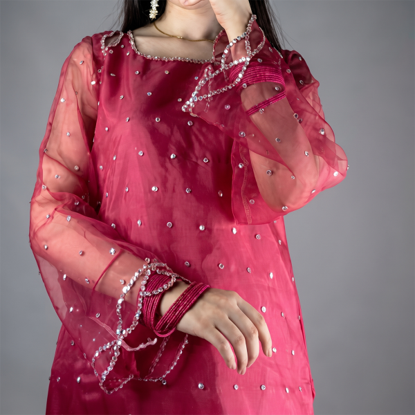 Ruby Radiance Embellished Suit