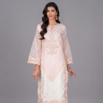 Peach Embroidered Chiffon Suit