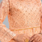 Peach Minimalist Embroidered Organza Co-ord Set