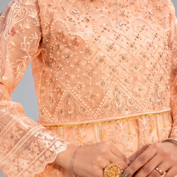 Peach Minimalist Embroidered Organza Co-ord Set