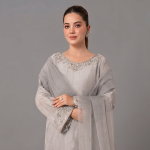 Ethereal Silver-Grey Embellished Ensemble