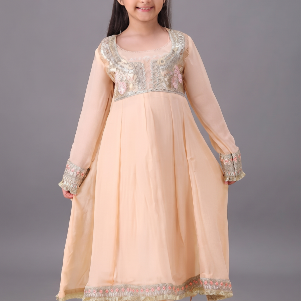 Off-White Embroidered Chiffon A-Line Frock