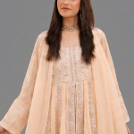Peach Minimalist Embroidered Organza Co-ord Set